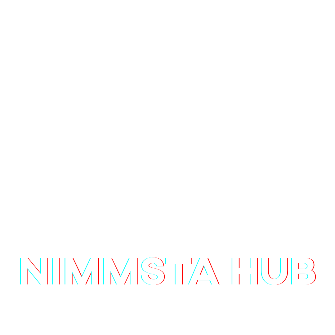 NIMMSTA Hub